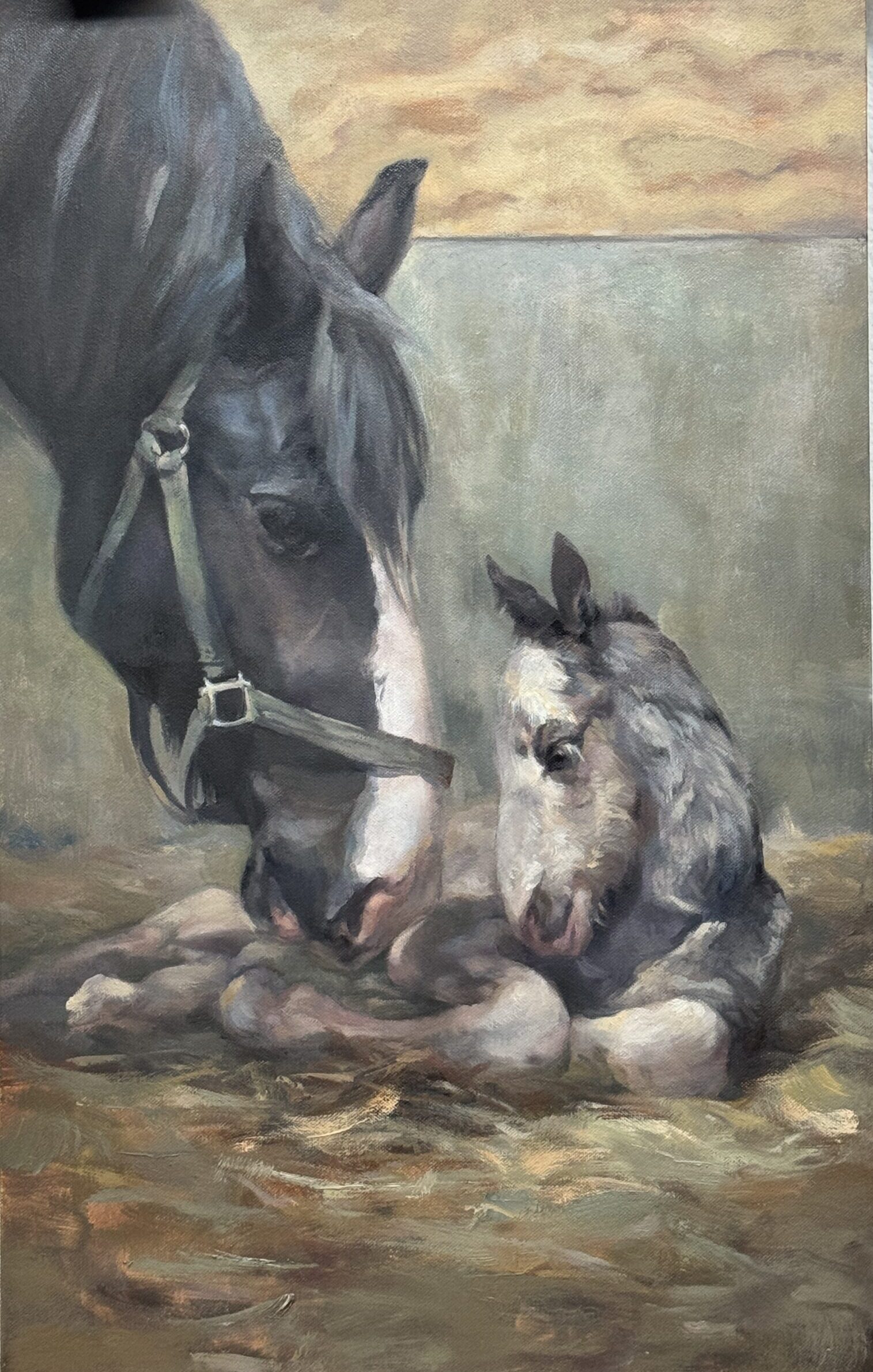 Oil Painting of black Clydesdale mare and her new foal laying in hay.